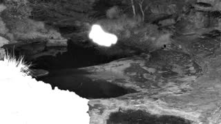 Still 1 from this detection