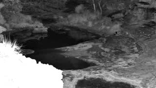 Still 3 from this detection