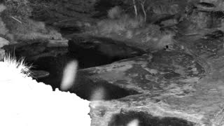 Still 1 from this detection