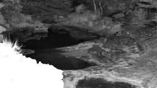 Still 2 from this detection