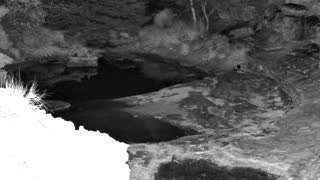 Still 3 from this detection