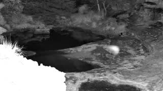 Still 3 from this detection