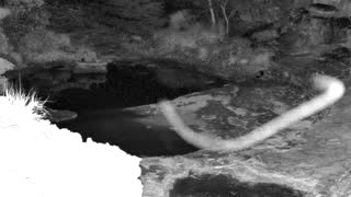 Still 1 from this detection