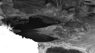 Still 1 from this detection