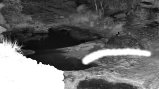 Still 2 from this detection