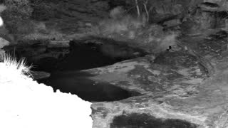 Still 3 from this detection
