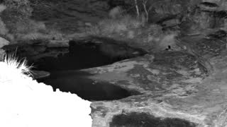 Still 1 from this detection