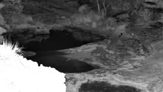 Still 2 from this detection
