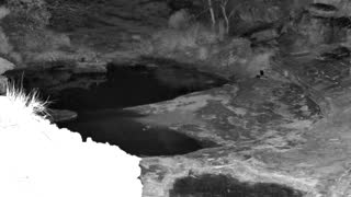 Still 1 from this detection