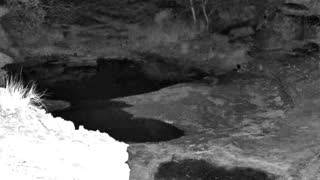 Still 1 from this detection