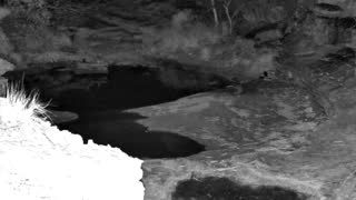Still 2 from this detection