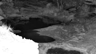 Still 3 from this detection