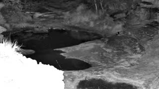 Still 2 from this detection