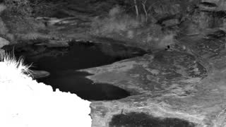 Still 2 from this detection