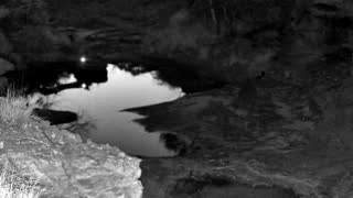 Still 1 from this detection
