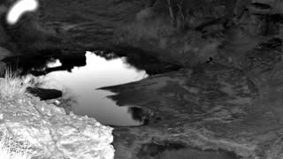 Still 1 from this detection