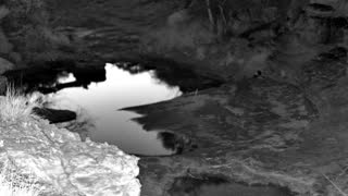 Still 2 from this detection