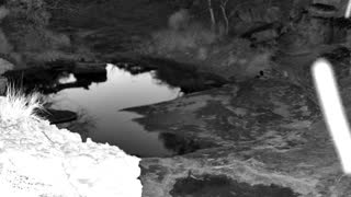Still 1 from this detection