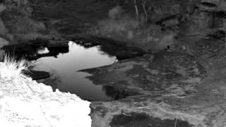 Still 2 from this detection