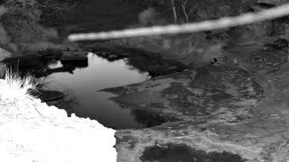 Still 2 from this detection