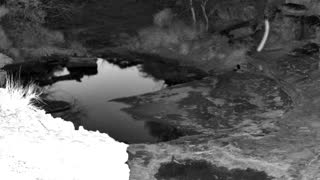 Still 3 from this detection