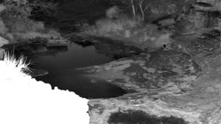 Still 3 from this detection