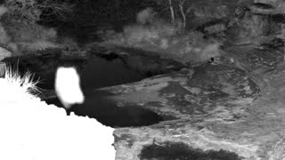 Still 1 from this detection