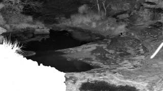 Still 1 from this detection