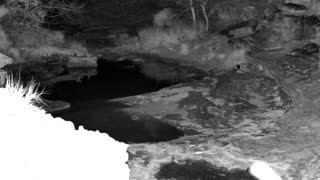 Still 2 from this detection