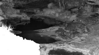 Still 2 from this detection