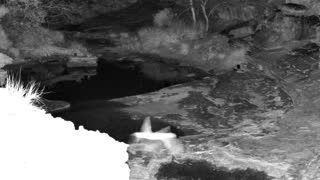 Still 2 from this detection