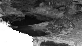 Still 2 from this detection