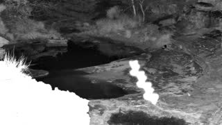 Still 2 from this detection