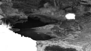 Still 1 from this detection