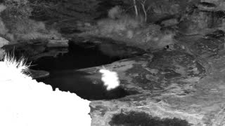 Still 2 from this detection