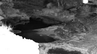 Still 1 from this detection