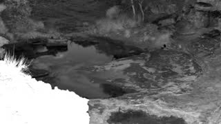 Still 2 from this detection