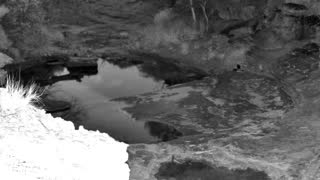 Still 1 from this detection