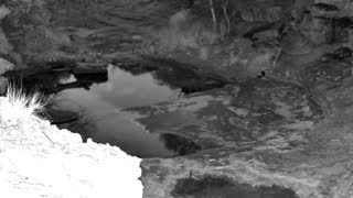 Still 2 from this detection