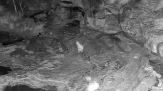 Still 3 from this detection