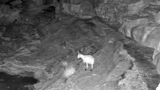 Still 2 from this detection