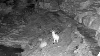 Still 3 from this detection