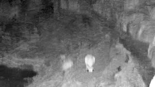 Still 1 from this detection