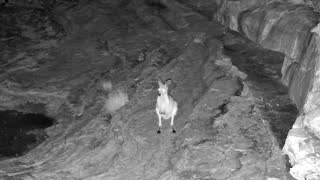 Still 2 from this detection