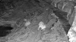 Still 1 from this detection