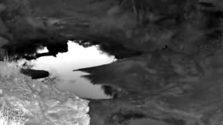 Still 2 from this detection