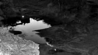 Still 2 from this detection