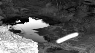 Still 2 from this detection