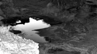 Still 3 from this detection