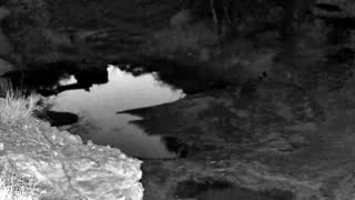 Still 2 from this detection